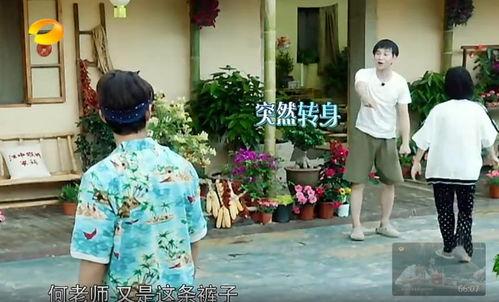 吉安吃瓜群众事件真相,揭秘背后真相与反思