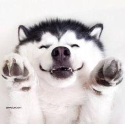 吃瓜群众斗牛视频大全,吃瓜群众围观激情瞬间