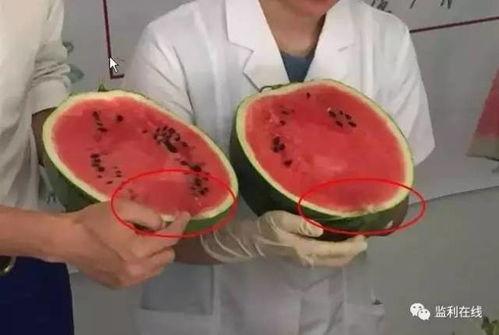 吃瓜群众最甜视频,揭秘“吃瓜群众最甜视频”背后的甜蜜故事