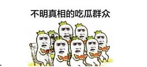 回忆杀吃瓜群众的故事