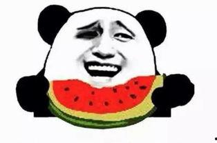 吃瓜群众在线网站,网络舆论场中的“瓜田”风云