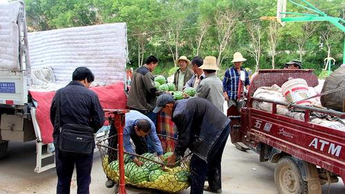 临猗县吃瓜群众事迹,临猗县“吃瓜群众”助力社会治理的生动实践