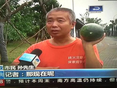 定远吃瓜群众事件,一场网络舆论的风暴与反思