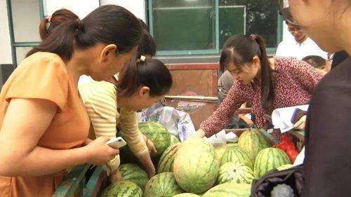 丽水吃瓜群众事件视频,一场网络舆论的风暴与反思