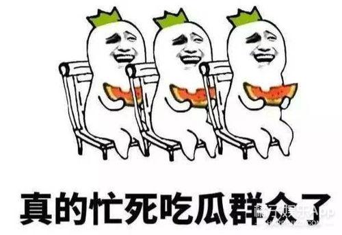 我只是吃瓜群众怎么回,揭秘娱乐圈幕后故事