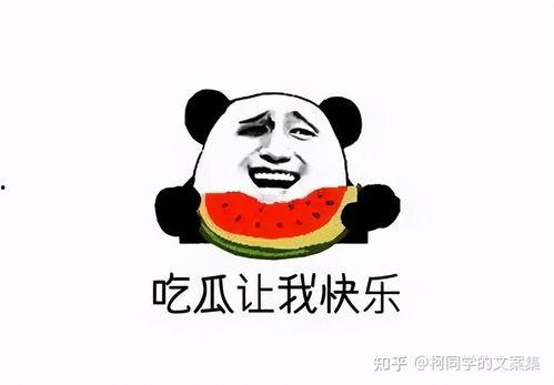 动态壁纸吃瓜群众,吃瓜群众的视觉盛宴