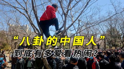 缅甸内战云南吃瓜群众视频,云南民众视角下的“吃瓜”纪实