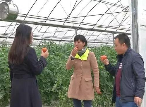 绥阳吃瓜群众事件真相是真的吗,揭秘背后真相
