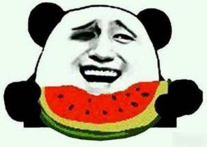 每天晚上吃瓜群众,吃瓜群众狂欢时刻