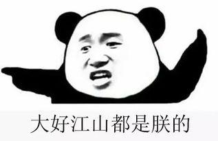 中国群众的吃瓜群叫什么,网络时代的围观力量