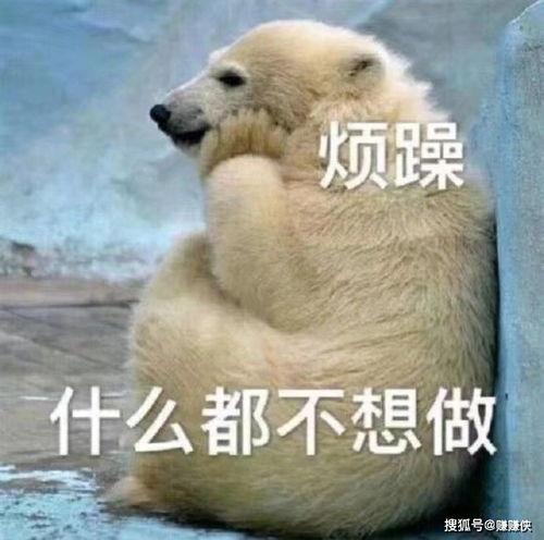 我只是个吃瓜群众图片,网络时代的旁观者与参与者