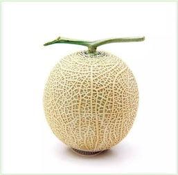 吃瓜群众的扇子,吃瓜群众手中的扇子风情