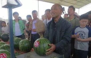 林州吃瓜群众,揭秘当地生活百态