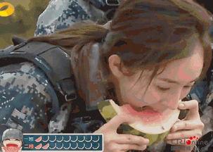 吃瓜群众90秒,吃瓜群众热议焦点