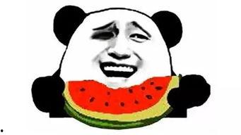 吃瓜群众干脆面,揭秘流行文化中的零食传奇