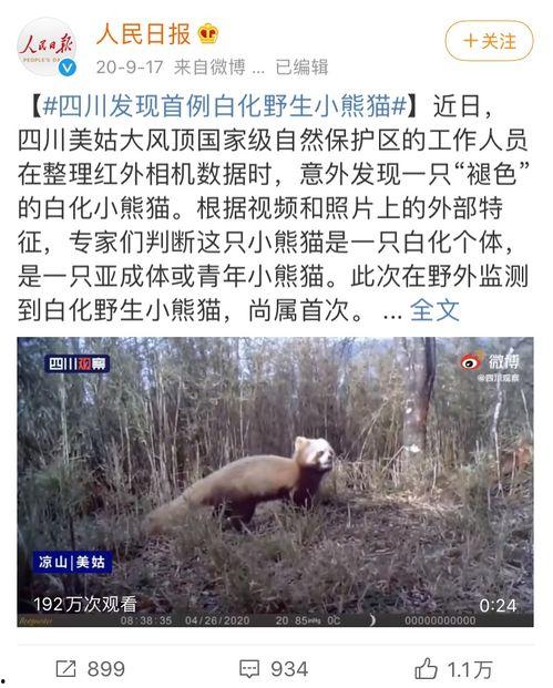 吃瓜群众小萌兽是谁,吃瓜群众小萌兽的崛起之路