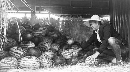 城固吃瓜群众事件视频最新