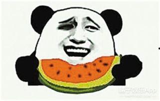 吃瓜群众保护协会会长,守护网络舆论生态的守护者