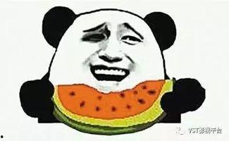 小斗士的吃瓜群众是哪一集,吃瓜群众背后的真相揭秘