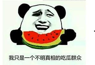 最新吃瓜群众高清视频