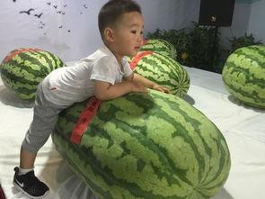 清远吃瓜群众事件最新情况