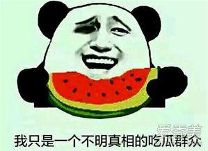 网语吃瓜群众是意思