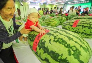 湖南第一吃瓜群众